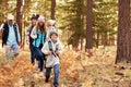 Multi generation family hiking in a forest, California, USA Royalty Free Stock Photo