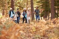 Multi generation family hiking in a forest, foreground space Royalty Free Stock Photo