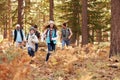 Multi generation family hiking in a forest, kids running Royalty Free Stock Photo