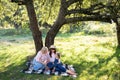 Multi-generation family spending time outdoors in sunny summer garden, sitting on checkered blanket under the big apple Royalty Free Stock Photo