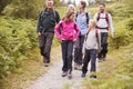 Multi generation family talk while walking in the countryside during a camping holiday, full length Royalty Free Stock Photo