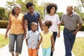 Multi Generation Family Walking In Park Together Royalty Free Stock Photo