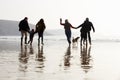 Multi Generation Family Walking On Winter Beach With Dog Royalty Free Stock Photo