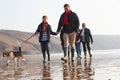 Multi Generation Family Walking On Winter Beach With Dog Royalty Free Stock Photo