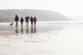 Multi Generation Family Walking On Winter Beach With Dog Royalty Free Stock Photo