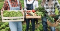 Multi generational farmer team holding wood boxes with fresh organic vegetables - Main focus on center box