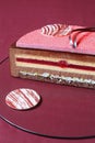 Multi Layered Chocolate Raspberry Mousse Cake