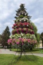 Multi-level flower bed with beautiful multicolored flowers in the center of Ternopil Royalty Free Stock Photo