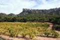 Multi-peaked mountain, Montserrat