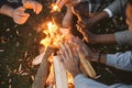 Young friends warming hands by fire at forest