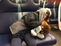 Multi Racial tween girl sleeping on train with hat and horse Royalty Free Stock Photo