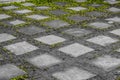 Multi-square rectangular walkway slabs Put together alternating with the grass