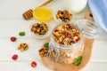 Multicereal homemade organic granola with a mixture of nuts, dried cherries, honey, cinnamon  and yogurt Royalty Free Stock Photo