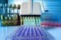 Multichannel pipette load samples in pcr microplate with 96 well Royalty Free Stock Photo