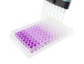 Multichannel pipette test sample on 96 wells Royalty Free Stock Photo