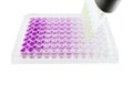 Multichannel pipette test sample Royalty Free Stock Photo