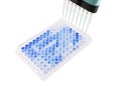 Multichannel pipette test sample Royalty Free Stock Photo