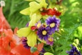 Multicolor artificial flower on blur background