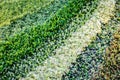 Multicolor artificial grass .