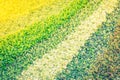 Multicolor artificial grass . ( Filtered image processed vinta