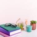 Multicolor books stack, house plants succulents and fragrant candle and sticks. Background for World Book Day. Still life with