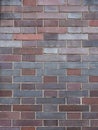 Multicolor brick wall Royalty Free Stock Photo