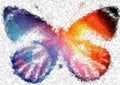 Multicolor bright butterfly abstract geometric background