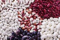 Legume abstract - top view of a variety of colorful bean, lentil and pea Royalty Free Stock Photo