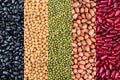 Multicolor dried legumes for background. Different dry bean for eating healthy. A variety of beans. Multicolor dried legumes for b Royalty Free Stock Photo