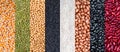 Multicolor dried legumes for background. Different dry bean for eating healthy. A variety of beans. Multicolor dried legumes for b