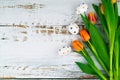 Multicolor Easter painted speckled eggs in basket on white wooden table with tulips. Traditional Spring composition Royalty Free Stock Photo