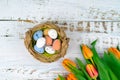 Multicolor Easter painted speckled eggs in basket on white wooden table with tulips. Traditional Spring composition Royalty Free Stock Photo