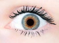 Multicolor eye closeup Royalty Free Stock Photo