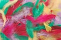 Multicolor feathers