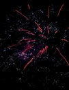 Multicolor firework lights on black background