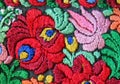 Multicolor floral hand embroidery pattern Royalty Free Stock Photo