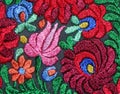 Multicolor floral hand embroidery pattern Royalty Free Stock Photo