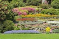 Multicolor flower beds on hillside
