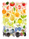 Multicolor Fruit Abstract Mix Royalty Free Stock Photo