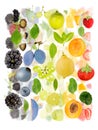 Multicolor Fruit Abstract Mix Royalty Free Stock Photo