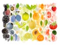 Multicolor Fruit Abstract Mix Royalty Free Stock Photo