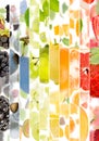 Multicolor Fruit Abstract Stripe Mix Royalty Free Stock Photo