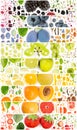 Multicolor Fruit Slice and Leaf Collection Royalty Free Stock Photo