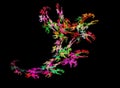Multicolor glowing object on black background. Shiny neon fractal.