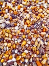 Multicolor of gravel