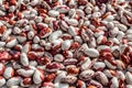Multicolor haricot beans background, many colorful dry kidney beans on bazaar counter or store window, top view. Healthy protein Royalty Free Stock Photo