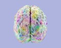 Multicolor human brain model, brain activity concept