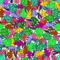 Exotic colorful leaves in a chaotic manner on a white background. Graphic pattern Royalty Free Stock Photo