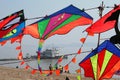 Multicolor kites on a background of Yangtze river, Wuhan, China Royalty Free Stock Photo