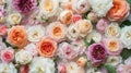 Multicolor pastel roses for bridal arrangement